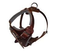Comfort Padded Dog Harness for Cane Corso